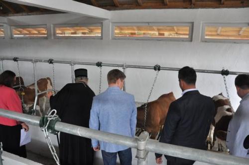 Construction d'une ferme bovine