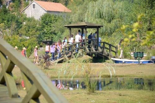 ETE 2012 : classe de mer