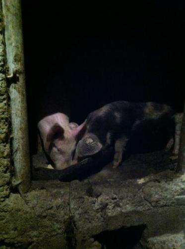 20110513 227105 2052659554548 1186314239 2520082 6294947 n